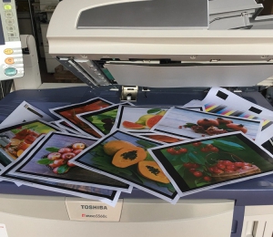 Nhận báo giá cho thuê máy photocopy tại Tân Phước Khánh hãng Toshiba ngay!