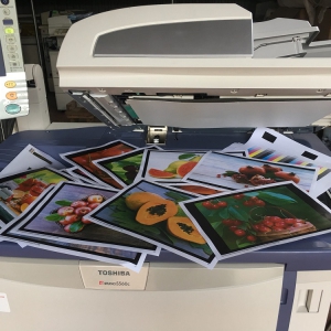 Nhận báo giá cho thuê máy photocopy tại Tân Phước Khánh hãng Toshiba ngay!